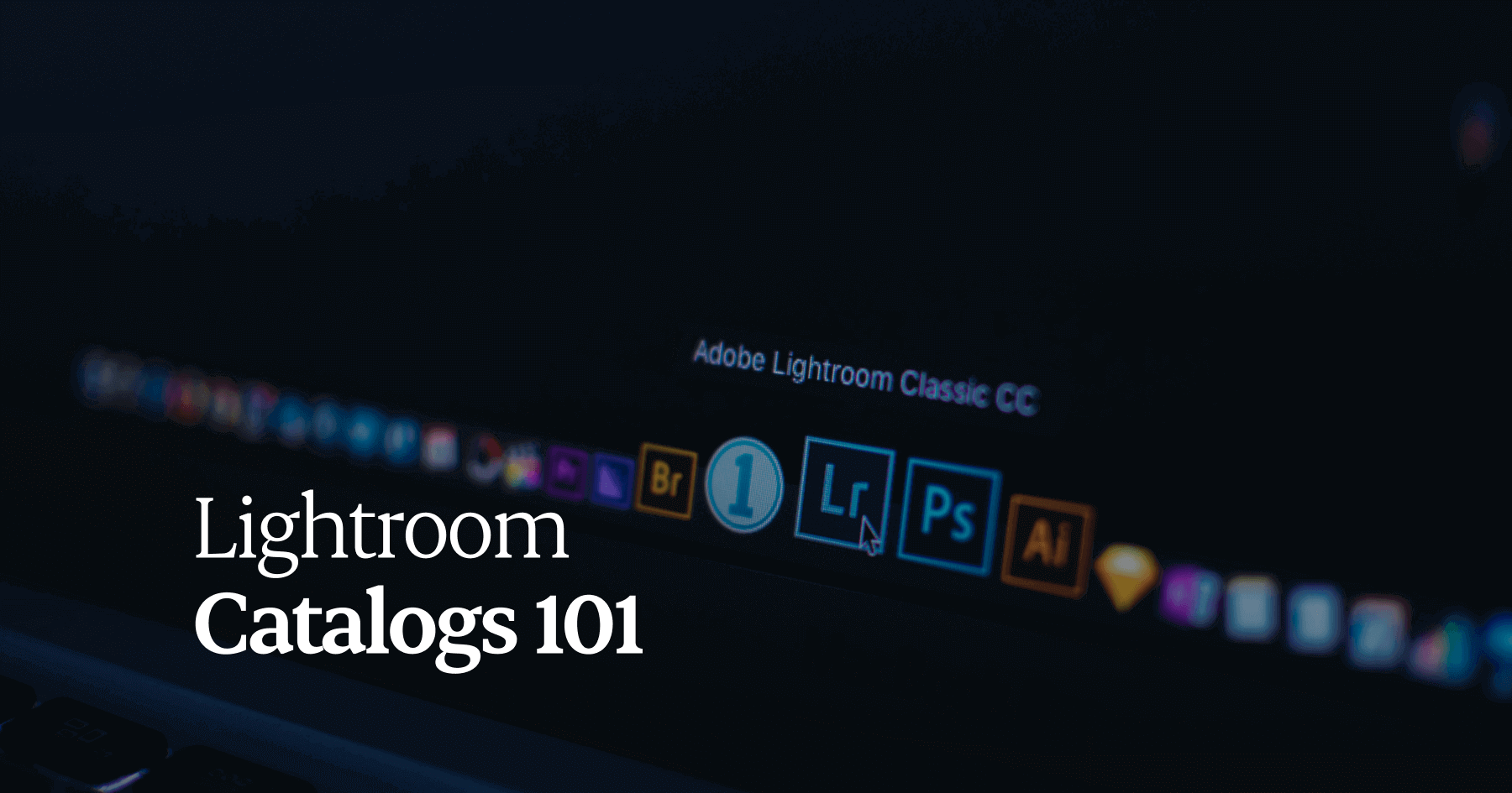Lightroom Catalogs 101 Organize, Optimize, and Thrive