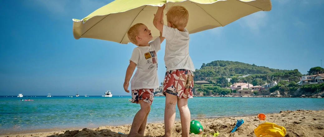 object-removal-after