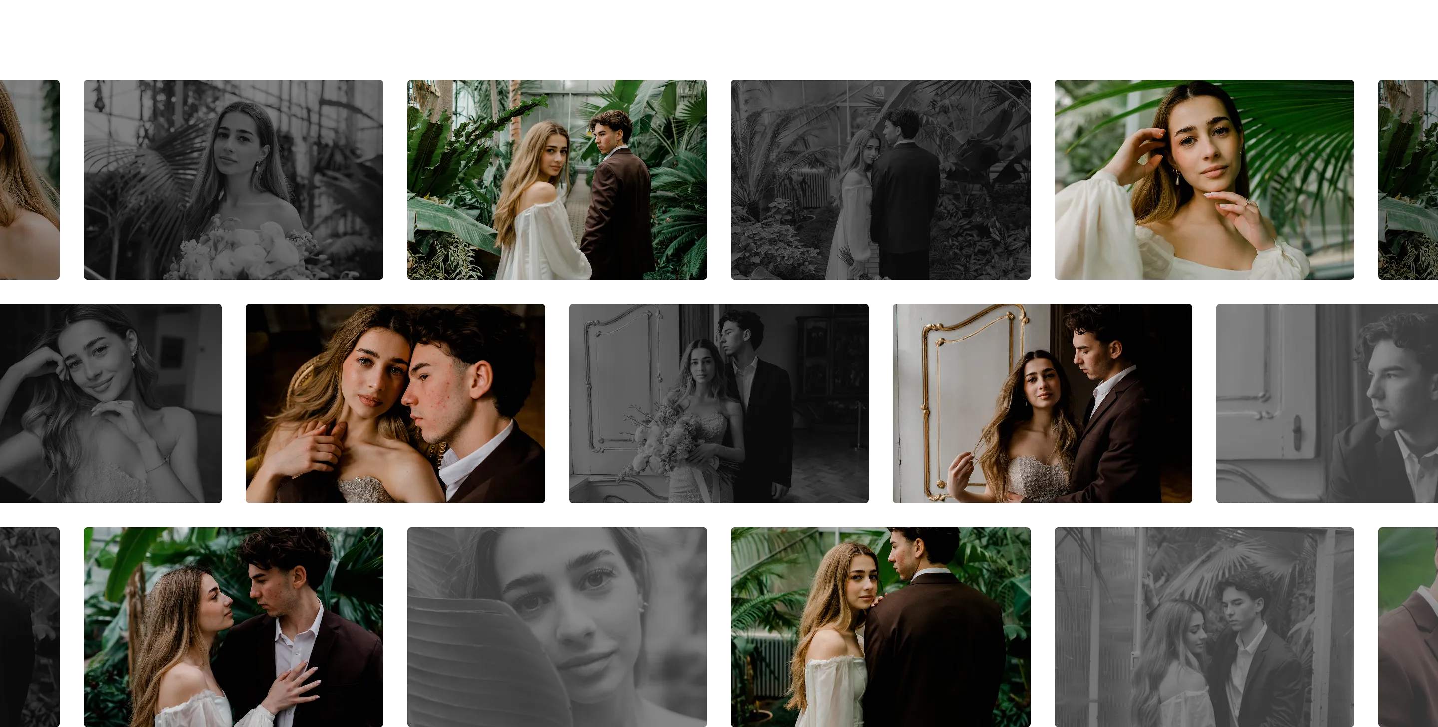 Cut Culling Time by 90% with Aftershoot